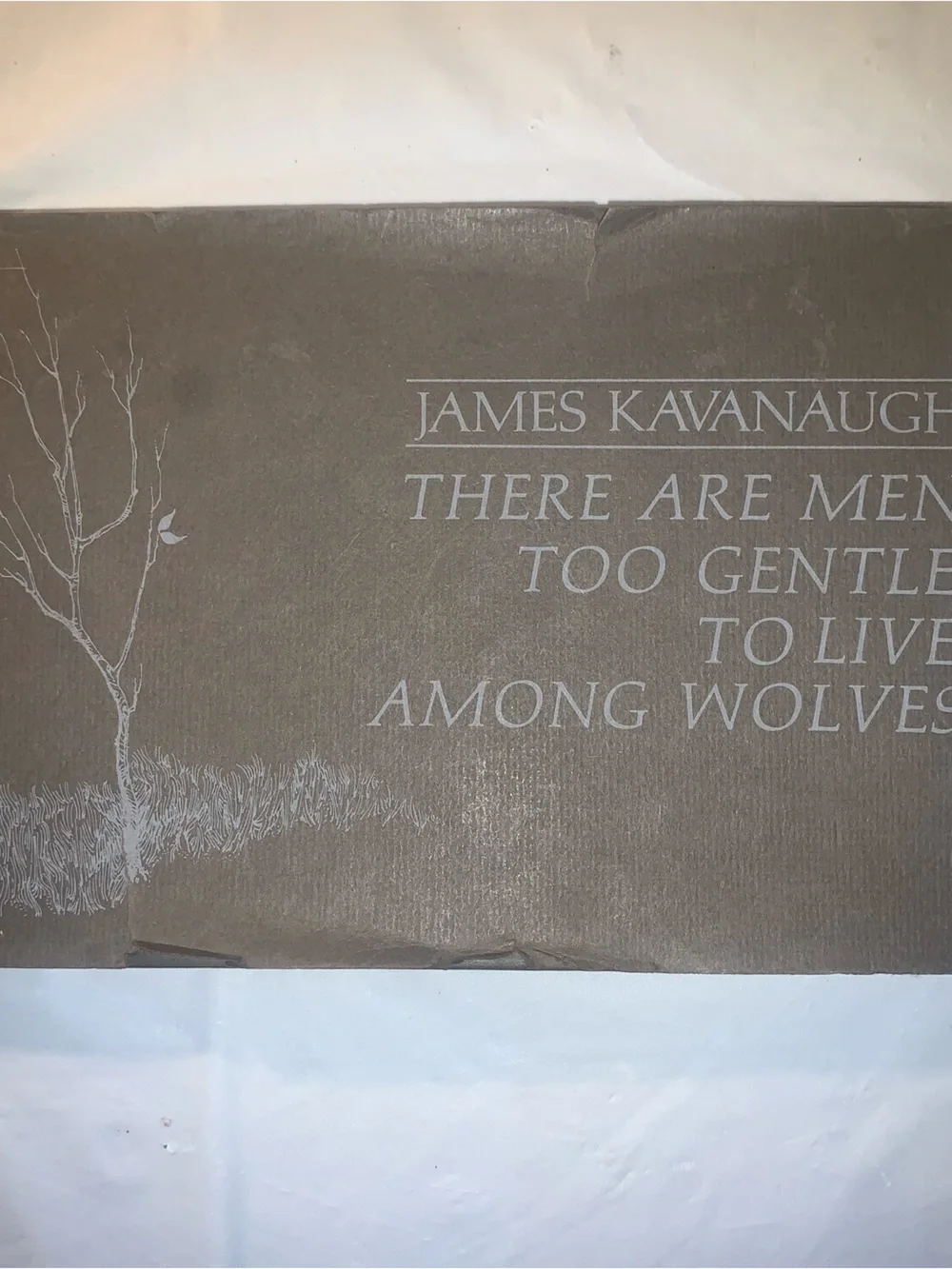 Lost Poetry - James Kavanaugh -Too Gentle to Live Among Wolves
